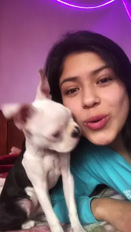 Amor perruno ❤️🥰 #fyp #viral