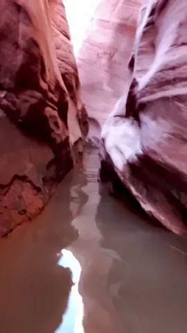 Wanna see the most insane hike we’ve ever done? Wait until the end to see what was in the other side. #hikingchallenge #hikingadventures #slotcanyon