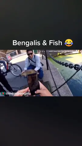 🇧🇩 Something Fishy goin on 🤔 Man wanted his Mum to make Maas Biran 🤣🤣🤣 #imjustbengali #bengalibants #fyp #viral #fishlover #fishing #fish