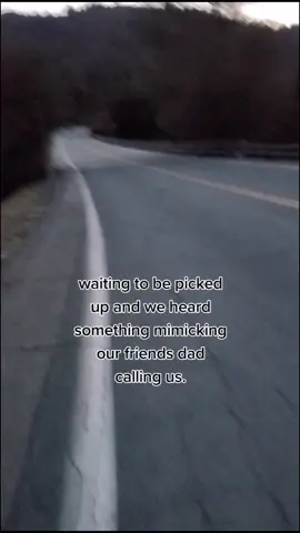 what was it?? comment below what you think😰😰 #spooky #skinwalker #windigo #mimickingvoice #fyp #foryou #foryoupage #trending #viral