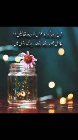 #pageforyou_🔥 #pageforyou_🔥trending💔