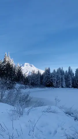 Such a pretty hike this morning! #traveltiktok #oregon #mthood #portland #pnw