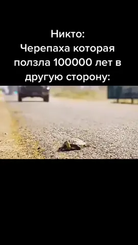 Соник всё испортил #БезОстатка #соник #мем #валимнагелике #черепаха