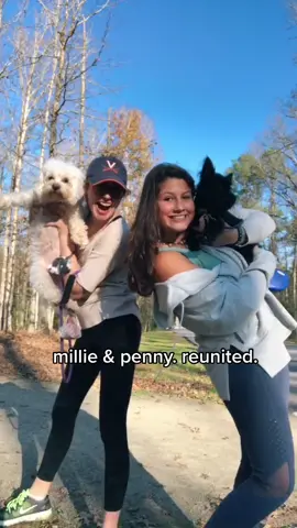 millie & penny’s day of adventure