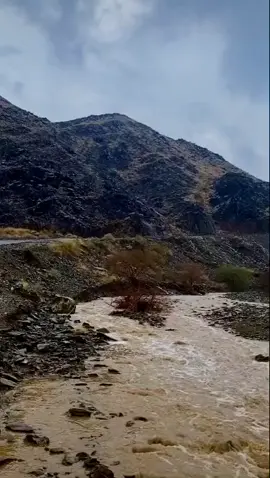 لاهب من عقب الكليبين هباب ساقو على طلة سهيل التباسير🌧❤️
