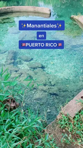 Manantiales en Puerto Rico Pt 1🇵🇷 #puertorico  #manantiales #latina #turismopuertorico #turismo #boricua #local #fyp #parati #puertorican