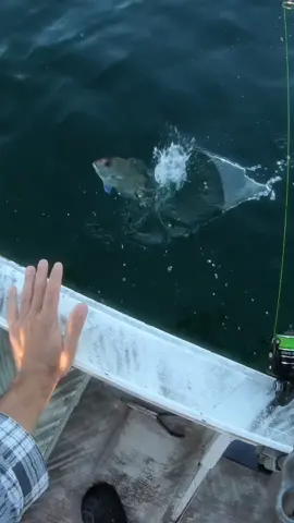 Show the fish some T.L.C