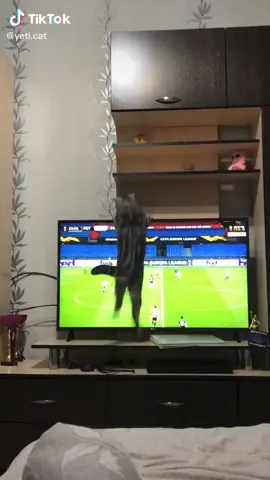 se cayó el televisor y el gato se esconde atrás del televisor y se cayó y se partió todo la pantalla del televisor entonces la papa entonces le pegó y
