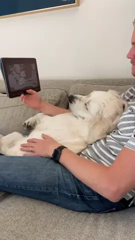 Movie time is her favorite time🎥🍿 #parthuman #disneymovie #dogtvwatch #foryourpage #furbaby