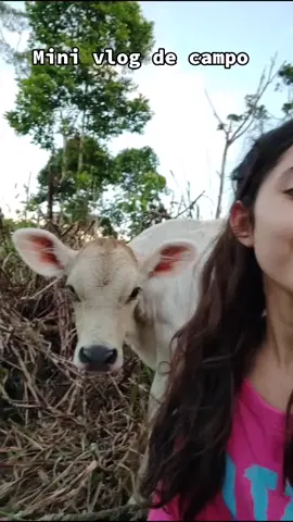 Haré vlogs así en Facebook y Youtube: Gabby Freire. Si quieren ver la recuperación de la vaca comenten🥰 ig:gabby.brave #campo