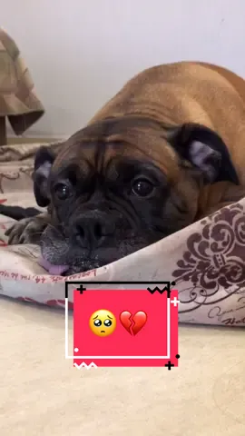 🥺💔 #зёпа #remzyzz #lonely