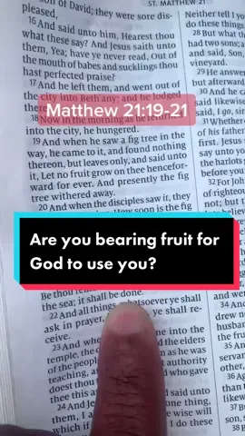 Are you bearing fruit for God to use you? #fyp #foryou #foryoupage #foryourpage #christiantiktok #faith #God #skidrowlosangeles #scripture