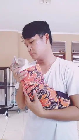 anakku lagi rewel. kalau #fyp  kabari ya biar adek cepet bobok.  #catloversindonesia #foryou