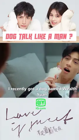 BOYFRIEND👱🏻‍♂️ or DOG 🐶???#loveissweet #半是蜜糖半是伤 #罗云熙 #白鹿 #luoyunxi #bailu #iqiyi #iqiyiwithyou #chinesedrama😊💜