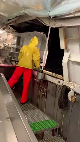 #fyp #work #WAP #norway #sea #waves #fish #winter #xmas #xmasfyp #viral #viral_video #money