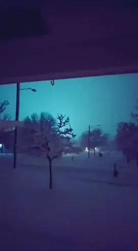 this was an hour after we were woken up by bright green flashing lights in our bedroom windows 5 times.