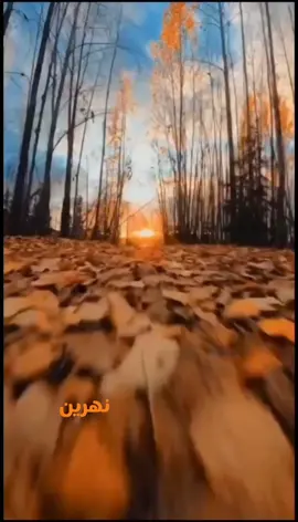صباح الخير