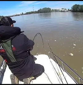 Fish On 💪 #catfish #catfishing #yurigrisendi