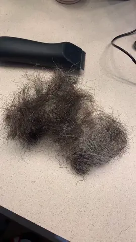 Surprised my wife and shaved my beard off, her reaction is priceless! #fyp #foryourpage #shaving #fy #surprise