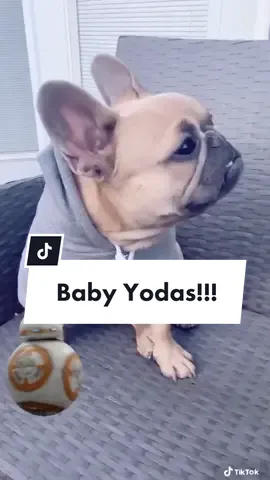Off niche but enjoyed making this... #themandalorian #babyyoda#grogru #frenchiesoftiktok #dogsoftiktok #CancelTheNoise #UpTheBeat