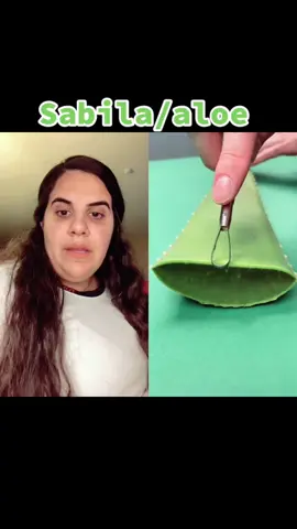 #dúo con @sosatisfying #aloe #OOTD #magic #medicina #latina #goviral #sorprendente #sabila #mexico #fyp #parati #foryou #descubrimiento #asombroso #go