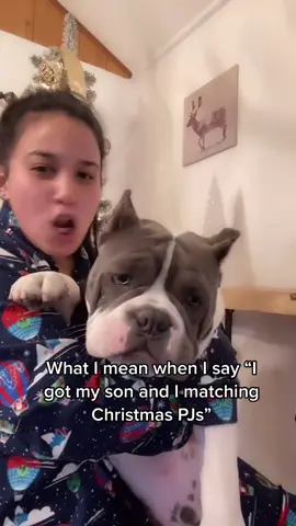 Stop asking me when I’m having kids #TheWildsChallenge #CancelTheNoise #Catchphrases #OOTD #christmas #dogsoftiktok