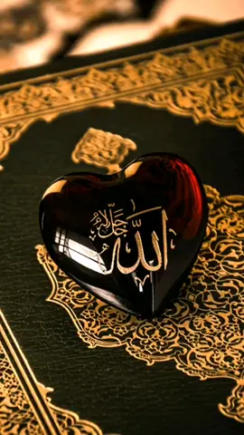 #islamic_video #subhanallah #alhamdulillah #allahuakbar #foryoupage #fypシ #misssadiaali00720
