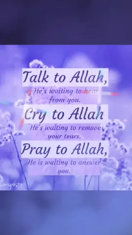 #islamicvideo #subhanallah #alhamdulillah #allahuakbar #foryoupage #fypシ #misssadiaali00720