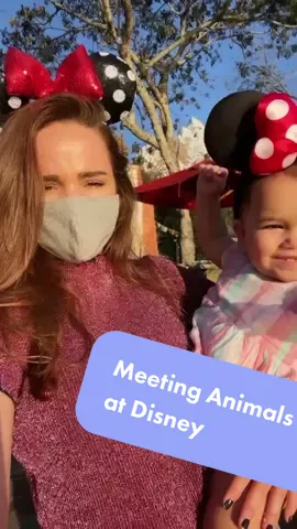 Meeting Animals at Disney #disney #animalkingdom #disneyparks #disneyworld