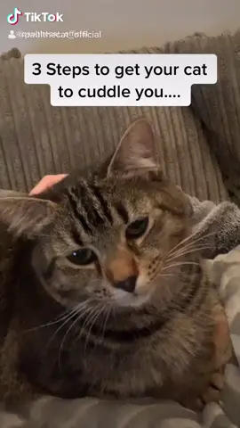 3 steps to get your cat to cuddle you #fyp #foryoupage #fy