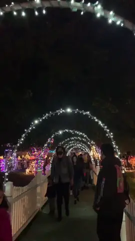 🎄Show de Luces en Prembrokr Pines #christmas #fyp #xyzbca #parati
