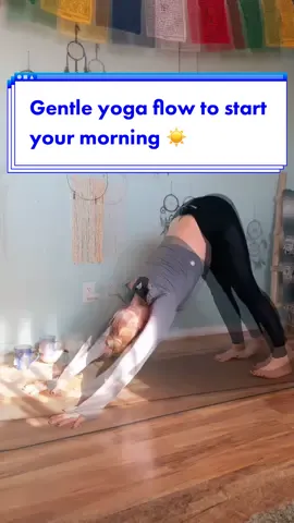 Start your morning right with this gentle yoga flow to wake up your spine! ☀️🌈   #LearnOnTikTok #tiktokpartner #yogaflow #morningyogaflow #yogagirl