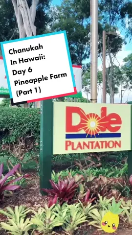 #oahuhawaii #oahu #dole #dolewhip #doleplantation #aulani #disneyaulani #aulanidisney