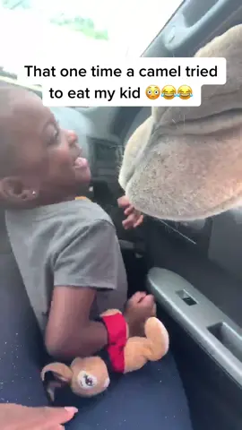 That one time a Camel had the fam SHOOK 😂😂🤦🏾‍♂️ #lmao #viral #fyp #foryou #familytime #😂😂😂 #drivethruzoo #yourpage