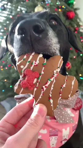Making Christmas Cookies 🎄🥰 #christmas #Christmas2020