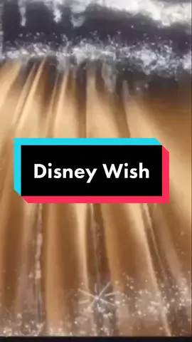 Who did you think it would be? #greenscreenvideo #disney #disneycruise #disneycruiseline #fyp #foryou #foryoupage