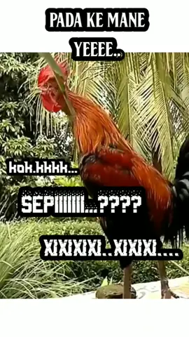 tumben anyep..