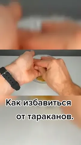 Лайфхаки#лайфхакидлядома#как#какизбавитьсяотсвоихтараканов #яйцо#борнаякислота#