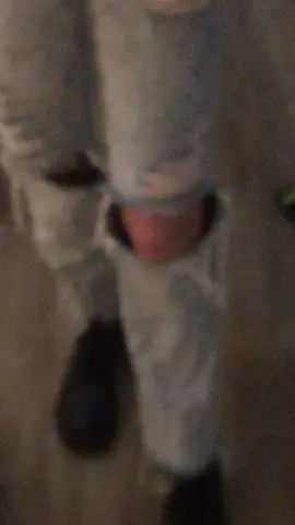 FIT CHECKKK