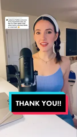 Reply to @hankgreen1 a thank you song to you!! Thanks everyone for your help 🥰 #fyp #hankgreen #WordsOfWisdom #song