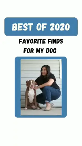 Doing more fav finds for my dog in 2021  but  will be highlighting more small businesses. #dogmomaf  #dogfinds  #pitlabmix #Bye2020