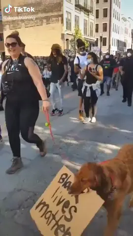 Share this clip to everyone, let our voices be heard #blacklivesmatter #georgefloydprotest #dog #DogTraining #blacklivesmattermovement #dogsoftiktok