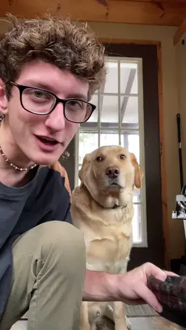 Hairy Doze 😳😂 #foryou #foryoupage #feature #featureme #pets #dogs #tiktok #DailyVlog #EasyRecipe
