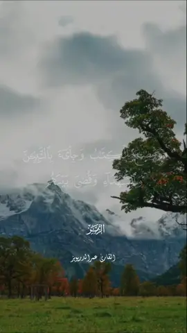 #Quran #القرآن #القران_الكريم #قران #مكه #المدينه_المنوره #السعودية #اكسبلور تلاوه  شجية 🌸 { الله خالق كل شيء } 🌼 القارئ #عمر_الدريويز 🌿🧡.
