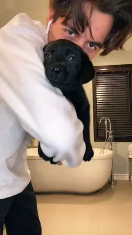She do be vibing tho 🥺😂 #fyp #foryou #puppy