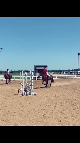 Oklahoma summer throwback! Houdini and I are soon headed to Aiken for the winter season 🌞 #horses #eventer #ottb #jumper #equestrian #horsesoftiktok