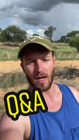 Ask away! #sirgathelioness #wildlife