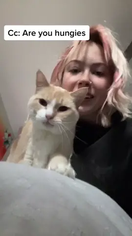 We’re back you guys!! #cats #cat #fyp #fypシ #chonky #baby #animal #ijustwannabeappreciated