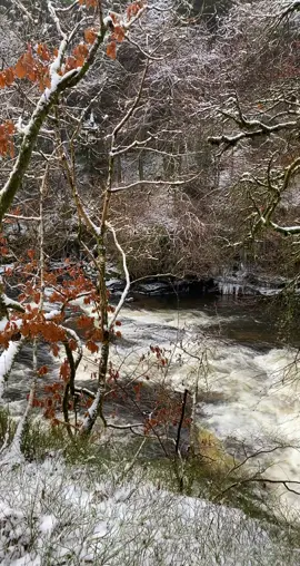 Stunning views on my daily walk #Scotland #lockdown #dailyexcersise #fyp #foryoupage