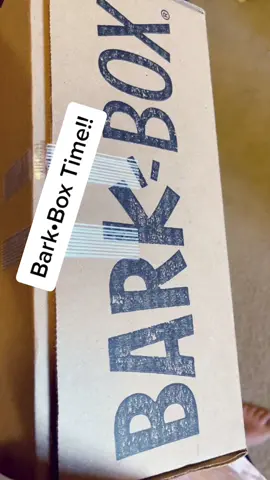 @barkbox December box has finally arrived! #thankyou#haikuthehusky#barkbox#viral#fyp#toys#dog#husky